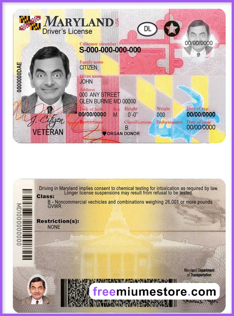 Maryland Driver license PSD Template